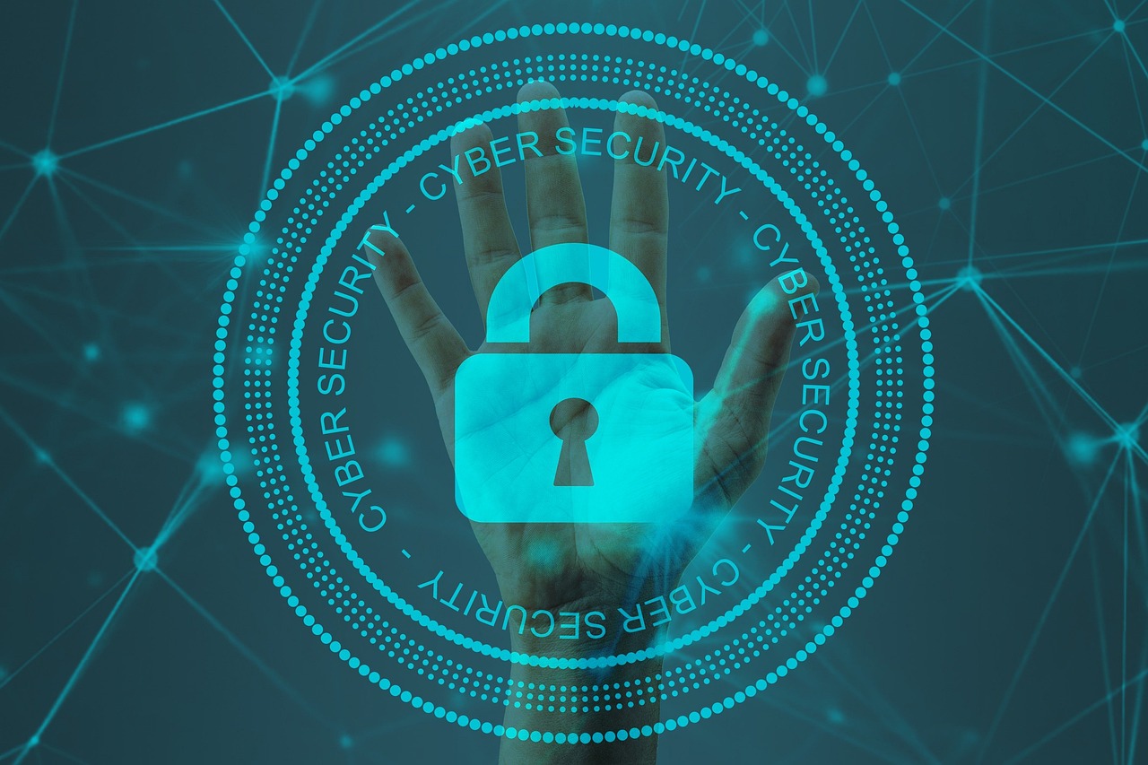 Online fraud detection techniques