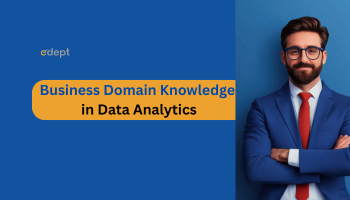 Business Domain Knowledge in Data Analytics