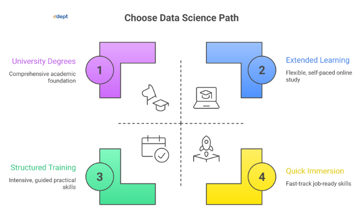 Top Beginner-Friendly Data Science Courses