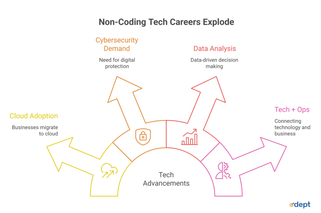 Jobs After BSc IT: Best Non-Coding Career Opportunities